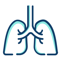 Pulmones icono